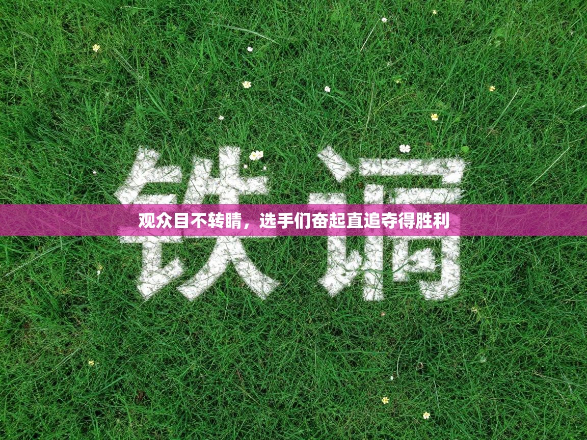 观众目不转睛,选手们奋起直追夺得胜利 第2张