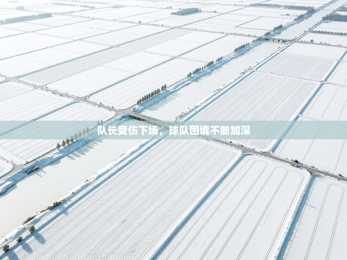 队长受伤下场,球队困境不断加深 第2张