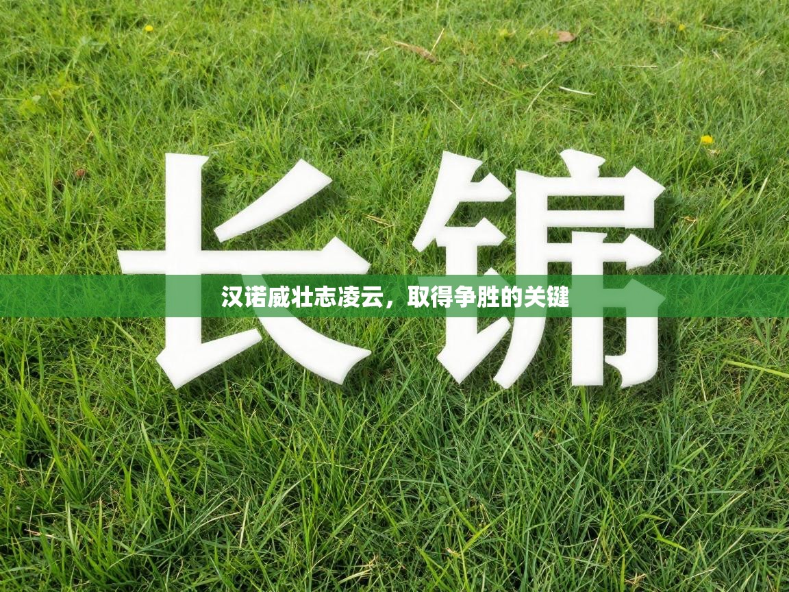 汉诺威壮志凌云，取得争胜的关键  第2张