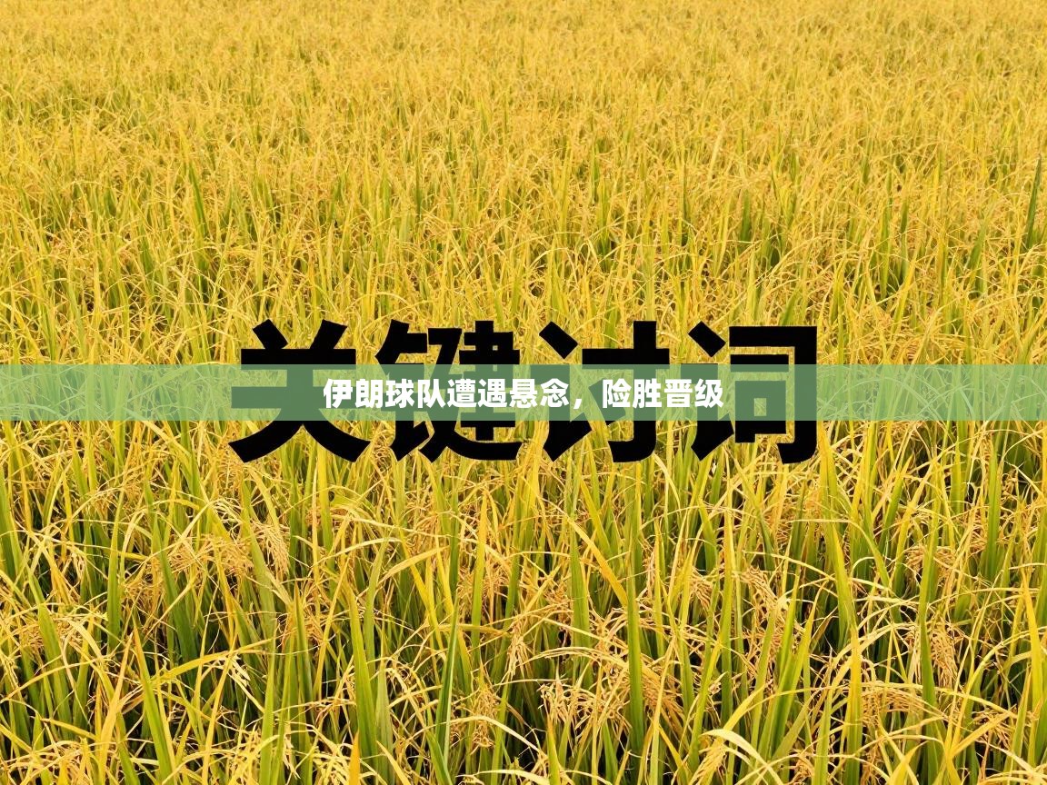 伊朗球队遭遇悬念，险胜晋级  第1张